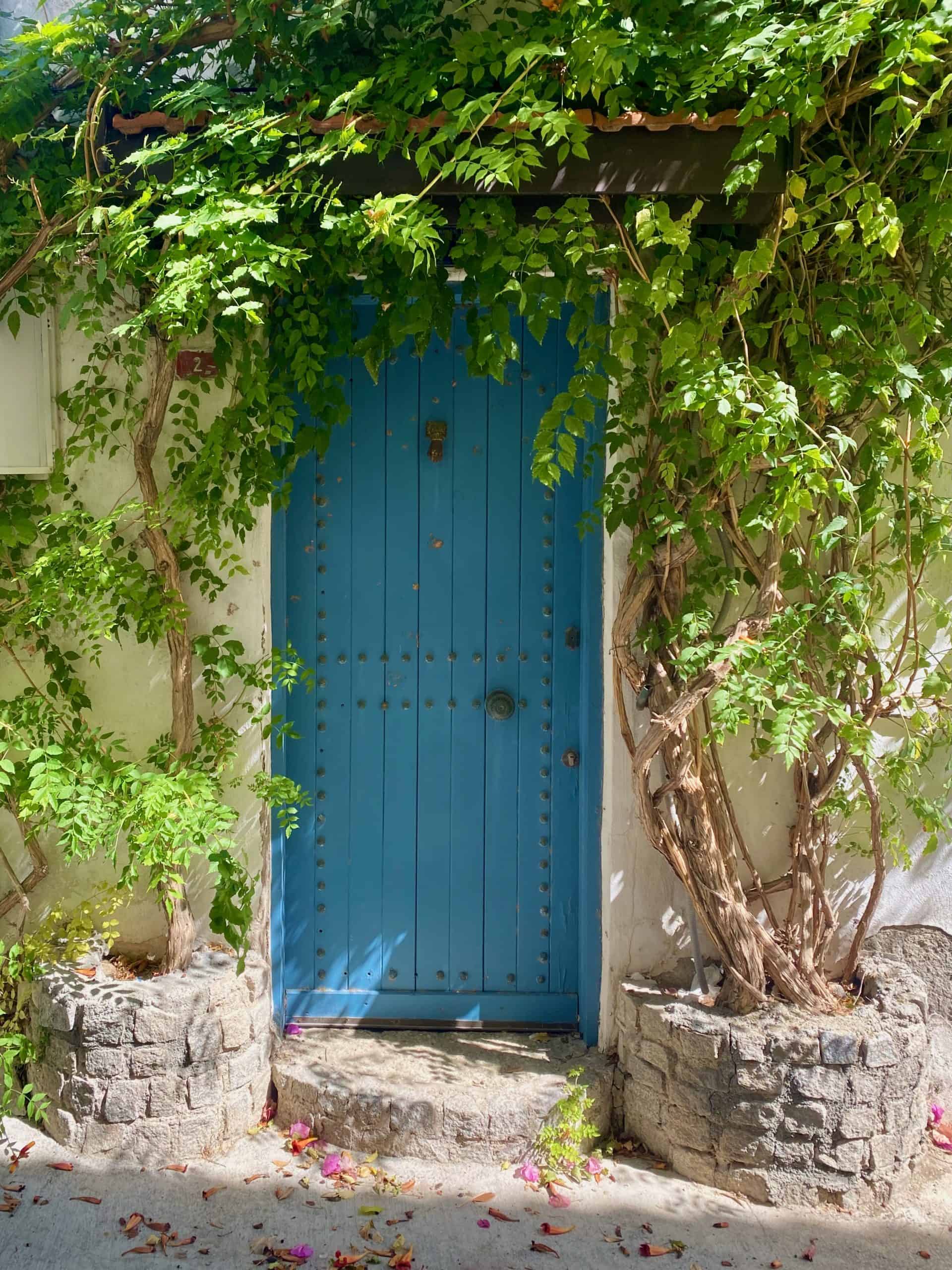 Blue door with lush ivy in Alacati old town Turkey