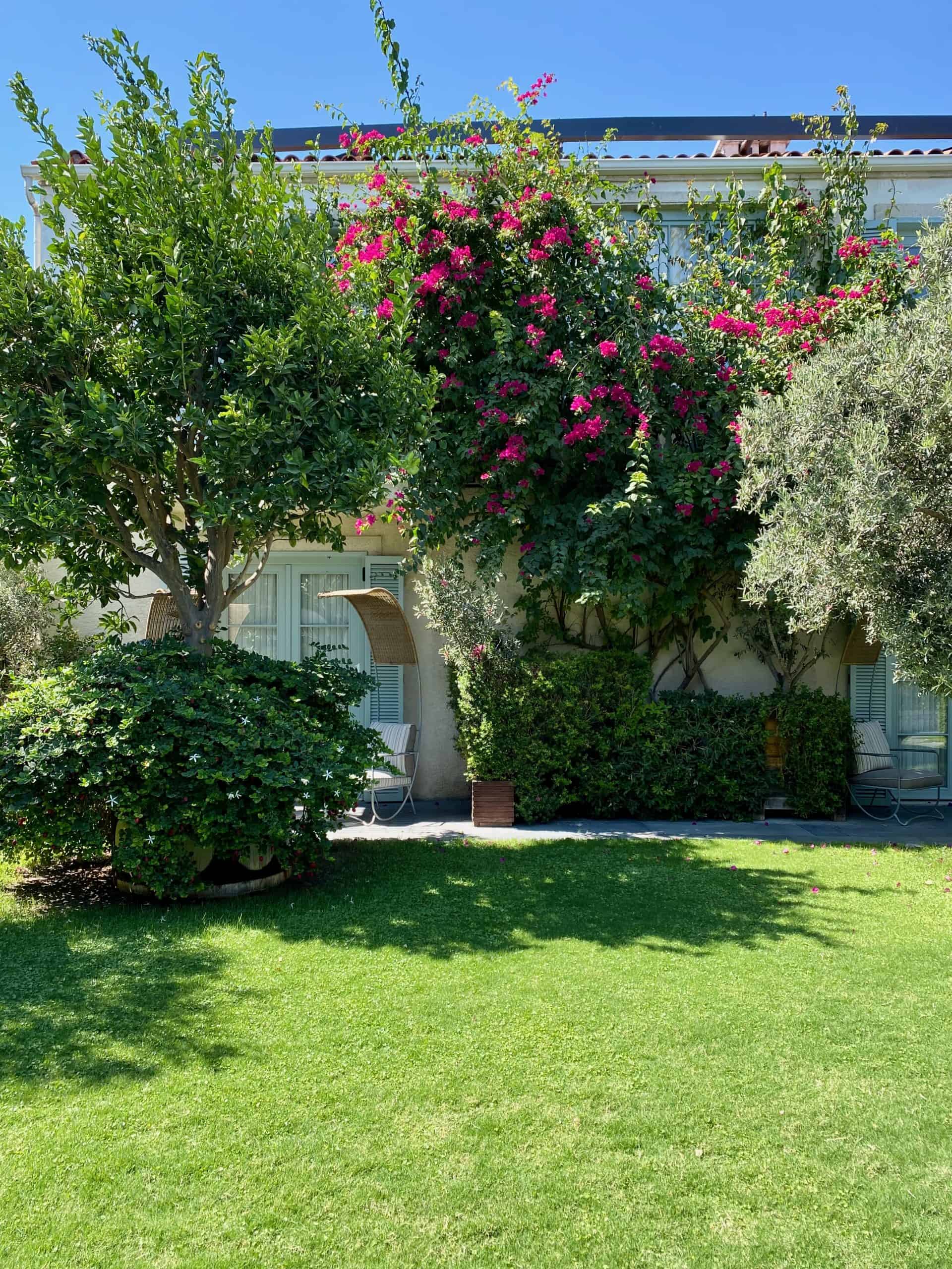 Gardens at Alavya hotel in Alaçatı
