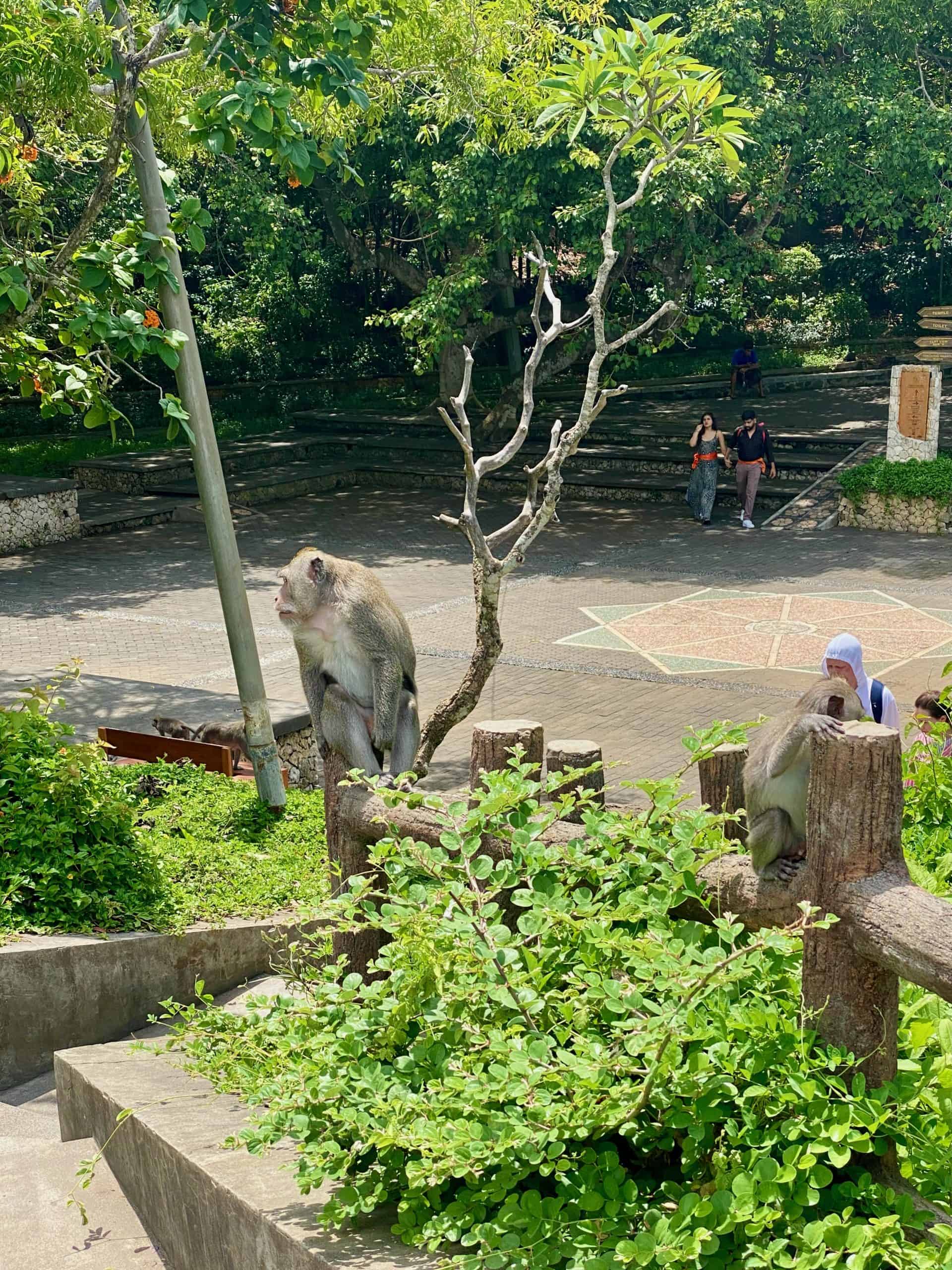 Central area at Uluwatu Temple